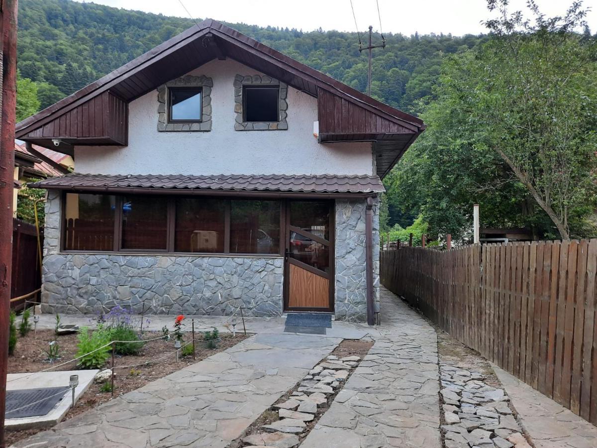Villa Casa Crissio Sinaia Esterno foto