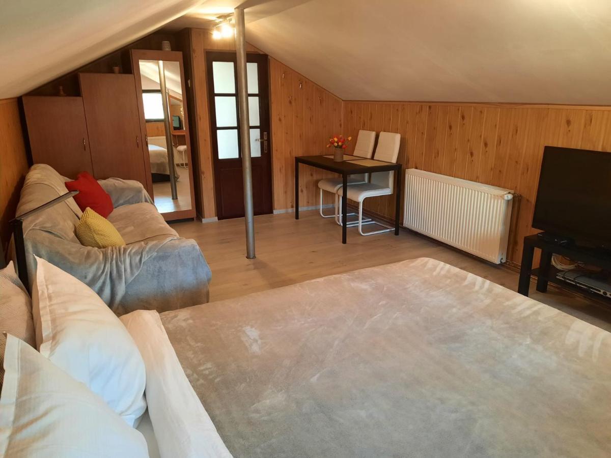 Villa Casa Crissio Sinaia Esterno foto